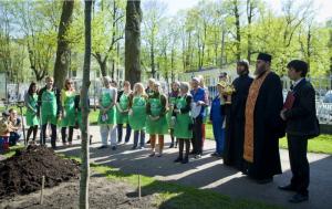 Planting oak alley in Tsarskoye Selo