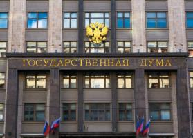 Members of the Coordinating Council took part in parliamentary hearings in The state Duma